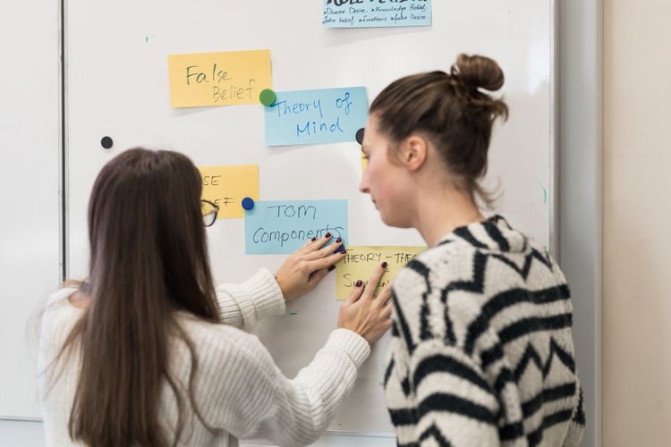 Studierende hängen ihre Karteikarten an ein Board mit Magneten, Foto: Christian Hüller